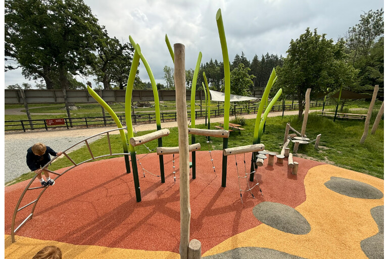 Foto af Klätterställning - Flora Play 3